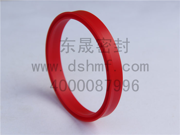 唇型密封圈，密封件，產(chǎn)品