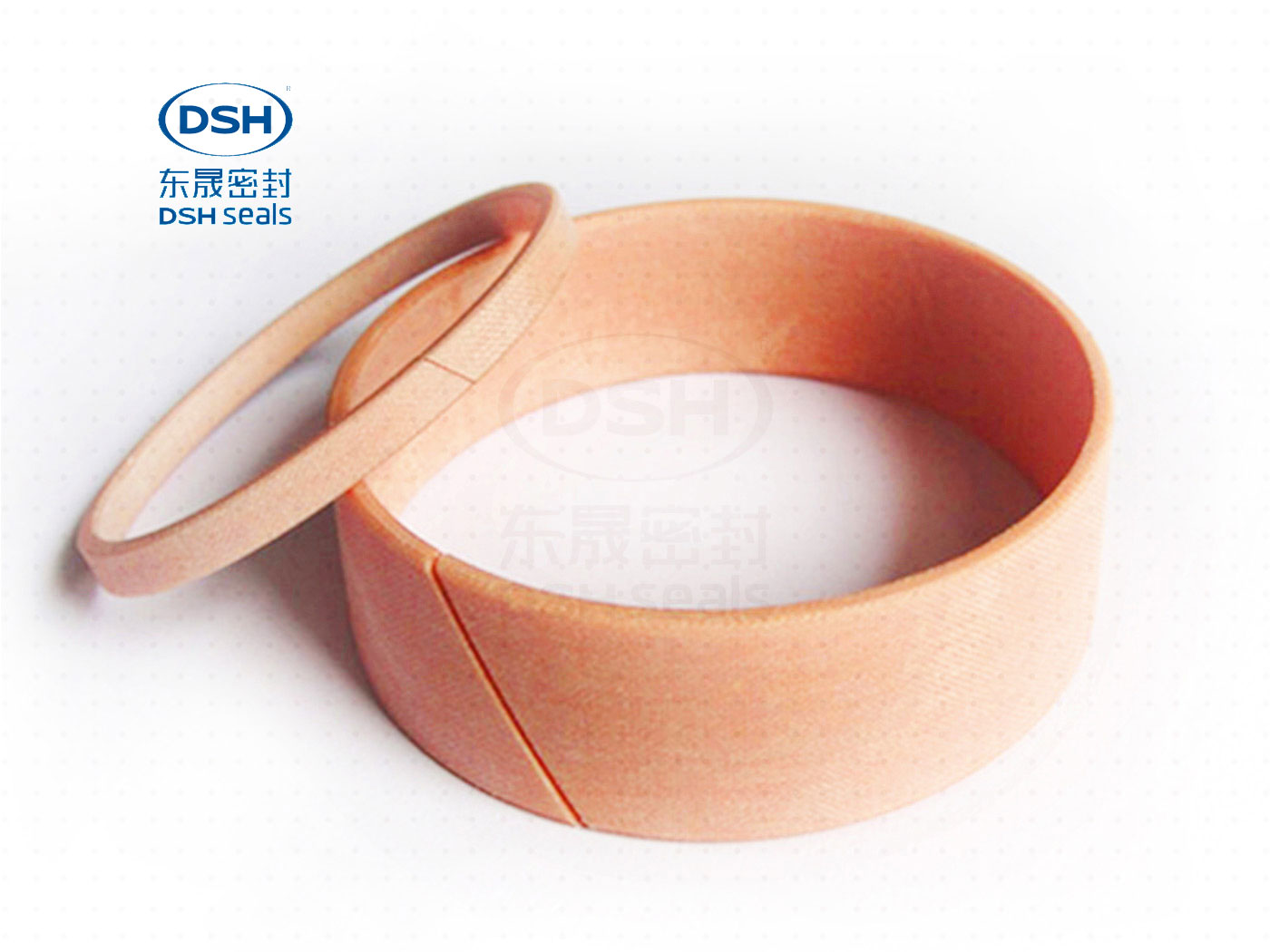 導向環(huán)DST3