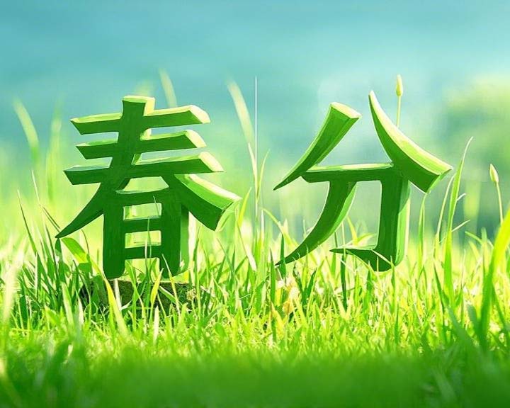 春分啟衡·東晟智封丨0.01毫米的陰陽(yáng)相濟(jì)之道！